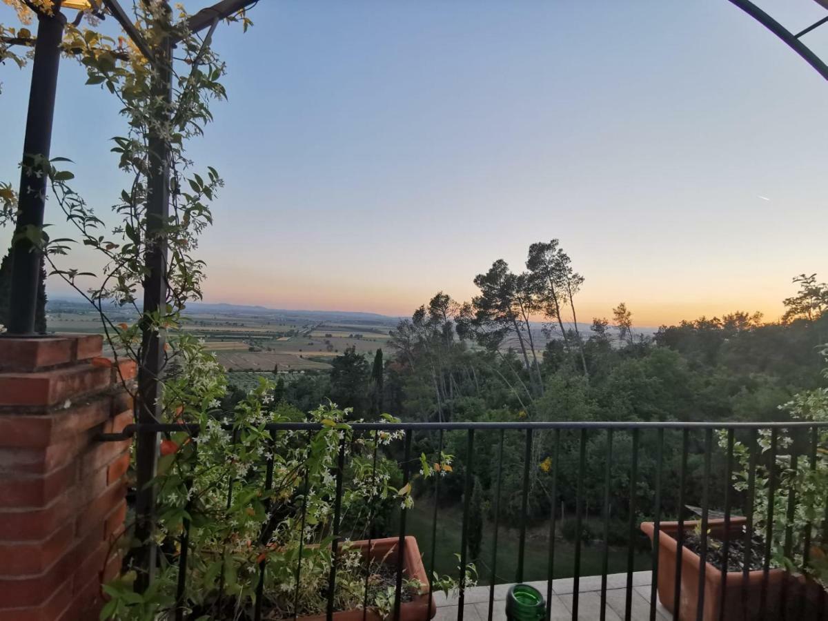 Villa Schiatti Cortona Dış mekan fotoğraf